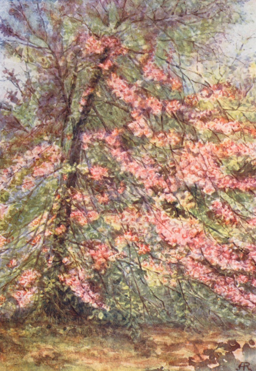  da Alice Julia Argles