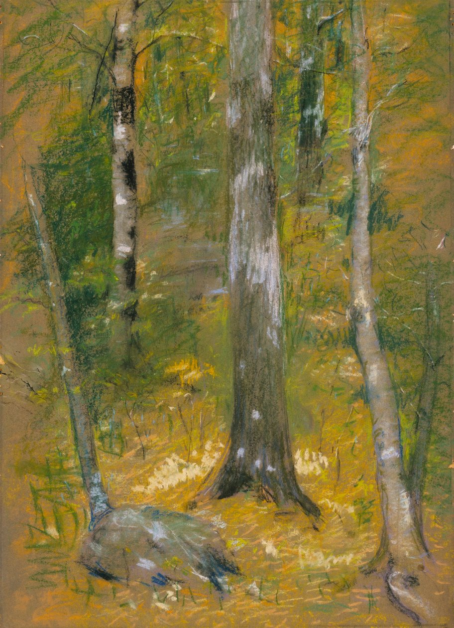 Onteora da Alice Pike Barney