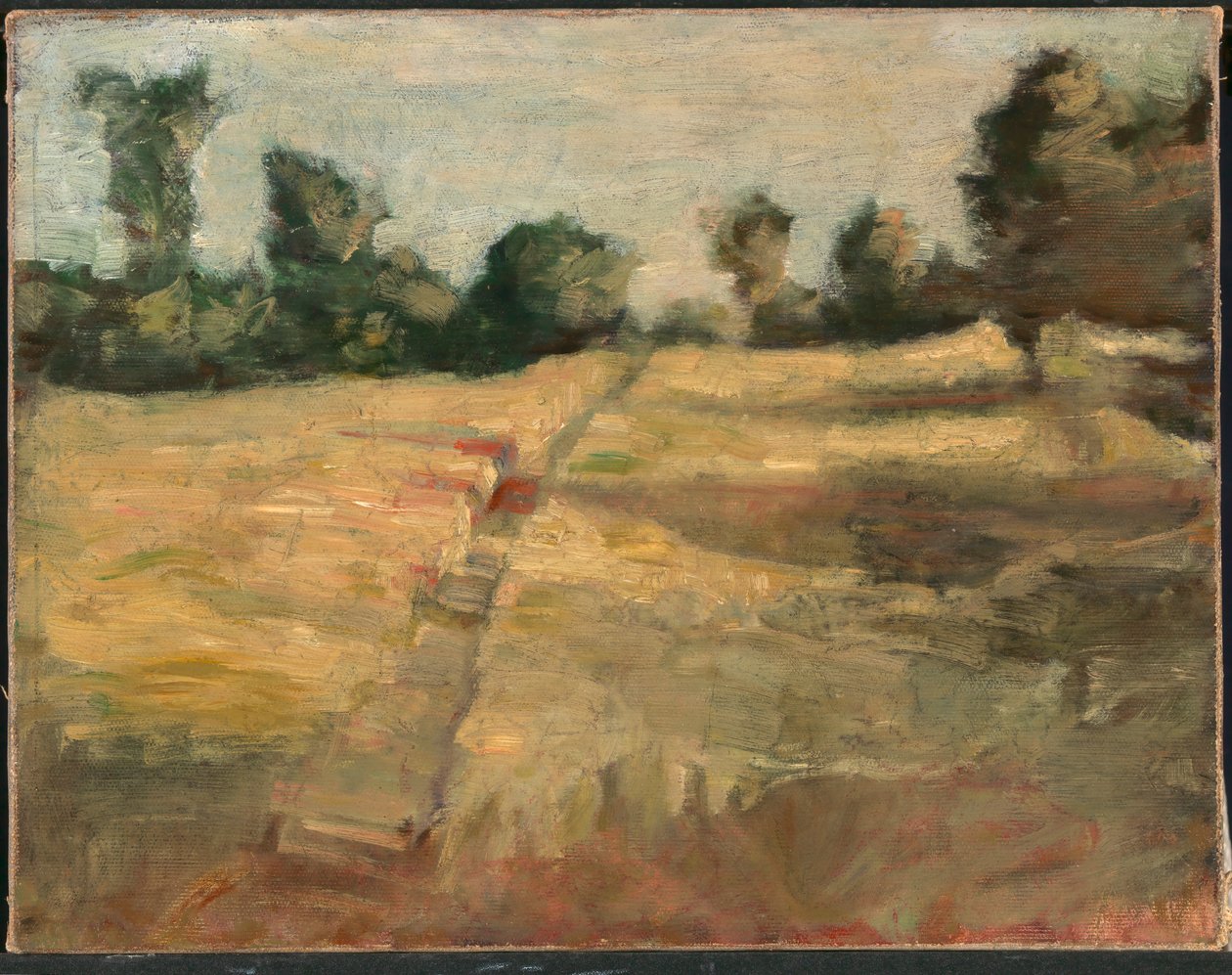 Il campo, ca. 1892 da Alice Pike Barney