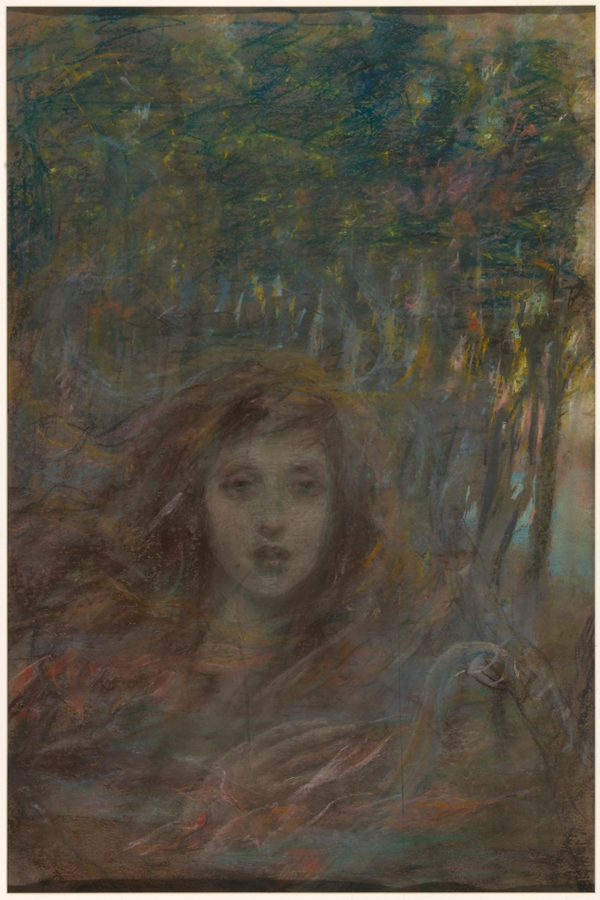 Visione attraverso il bosco da Alice Pike Barney