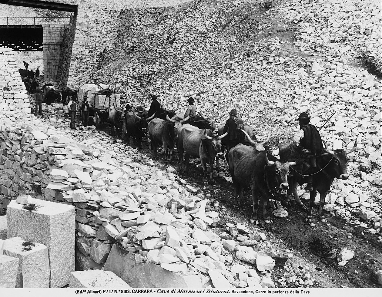 Carro che parte per le cave di Ravaccione, vicino a Carrara da Fratelli Alinari