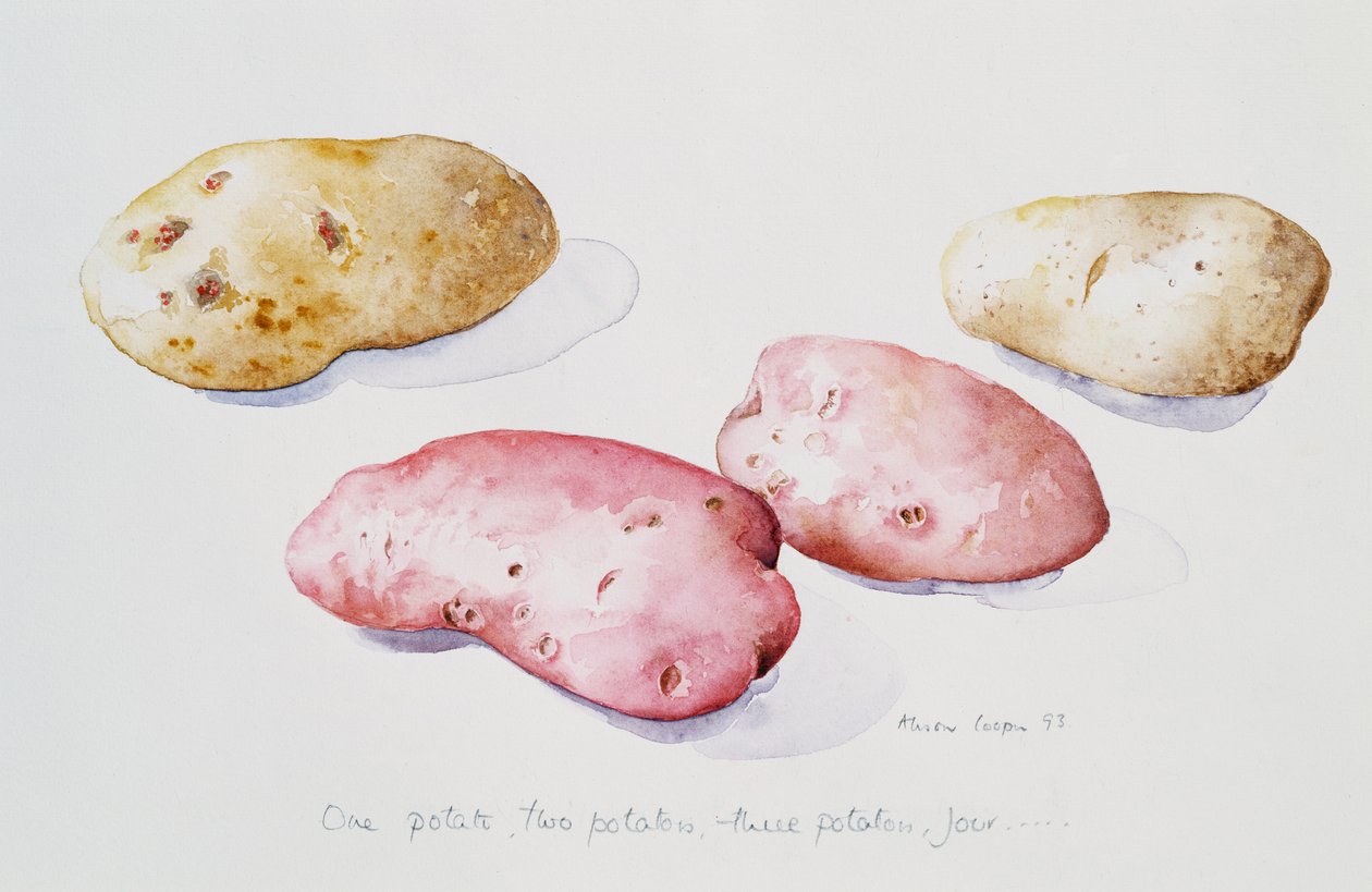 Studio di Patate, 1993 da Alison Cooper