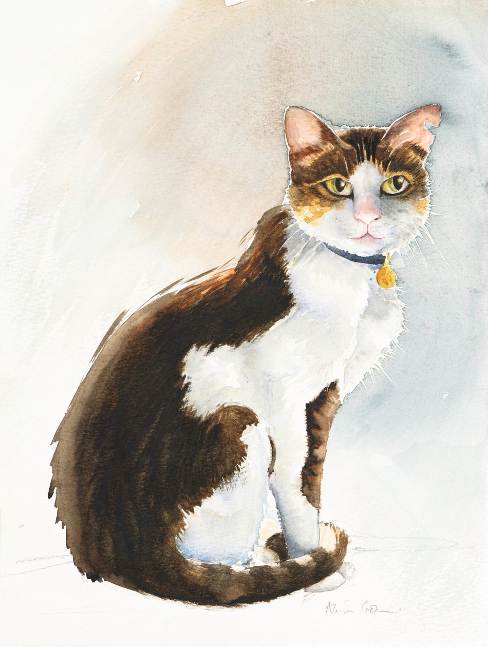 Dave il gatto saudita, 2019 da Alison Cooper