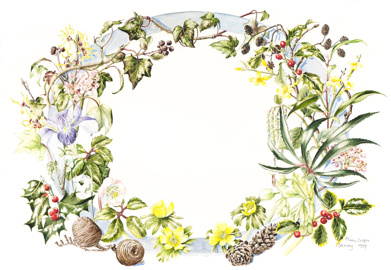 Ghirlanda invernale da Alison Cooper