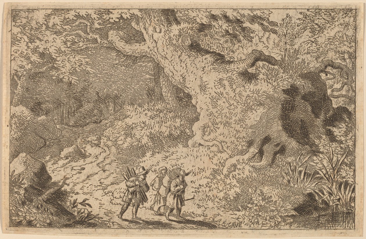 Una foresta fitta da Allart van Everdingen