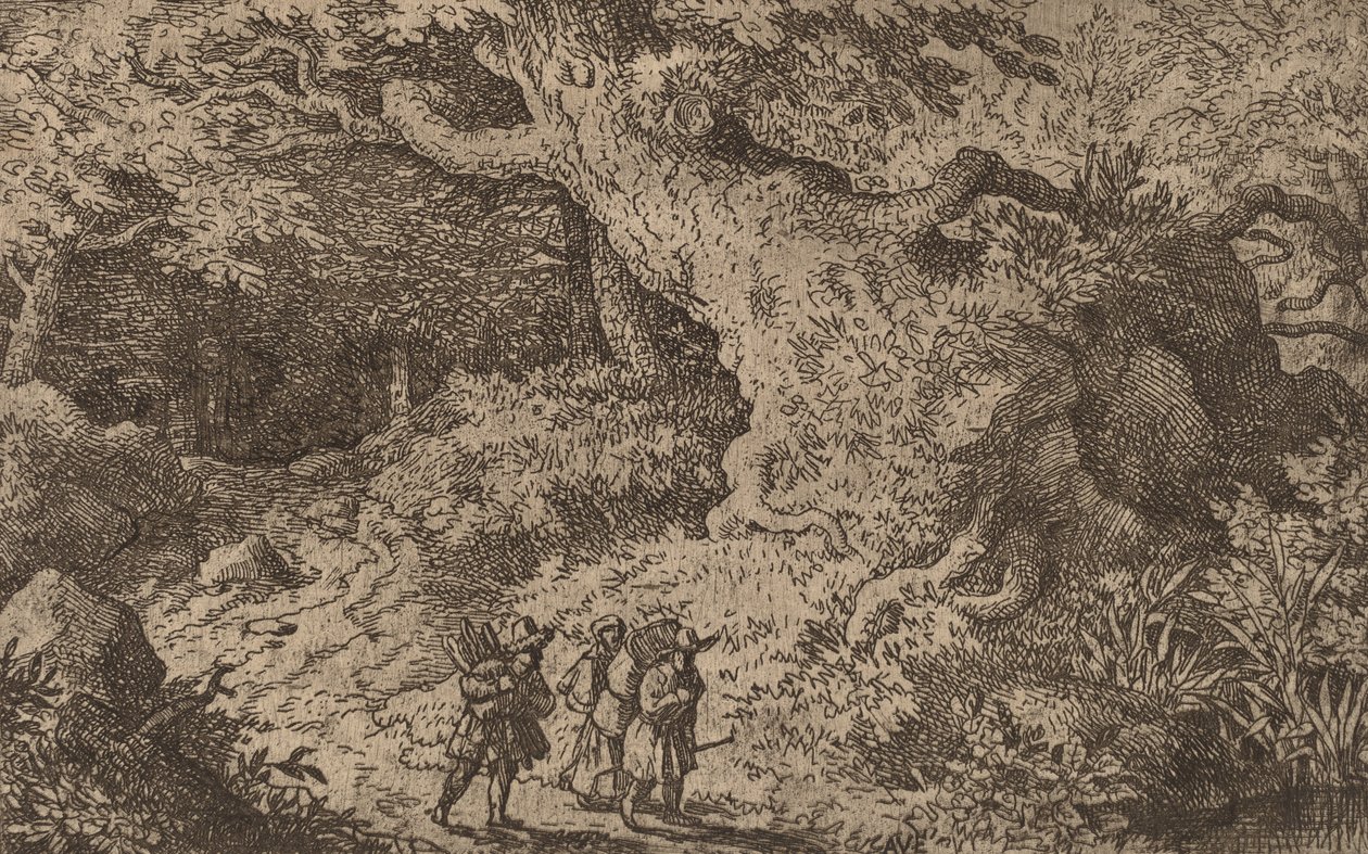 Una fitta foresta da Allart van Everdingen