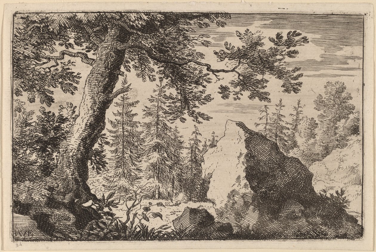 Masso nel bosco da Allart van Everdingen
