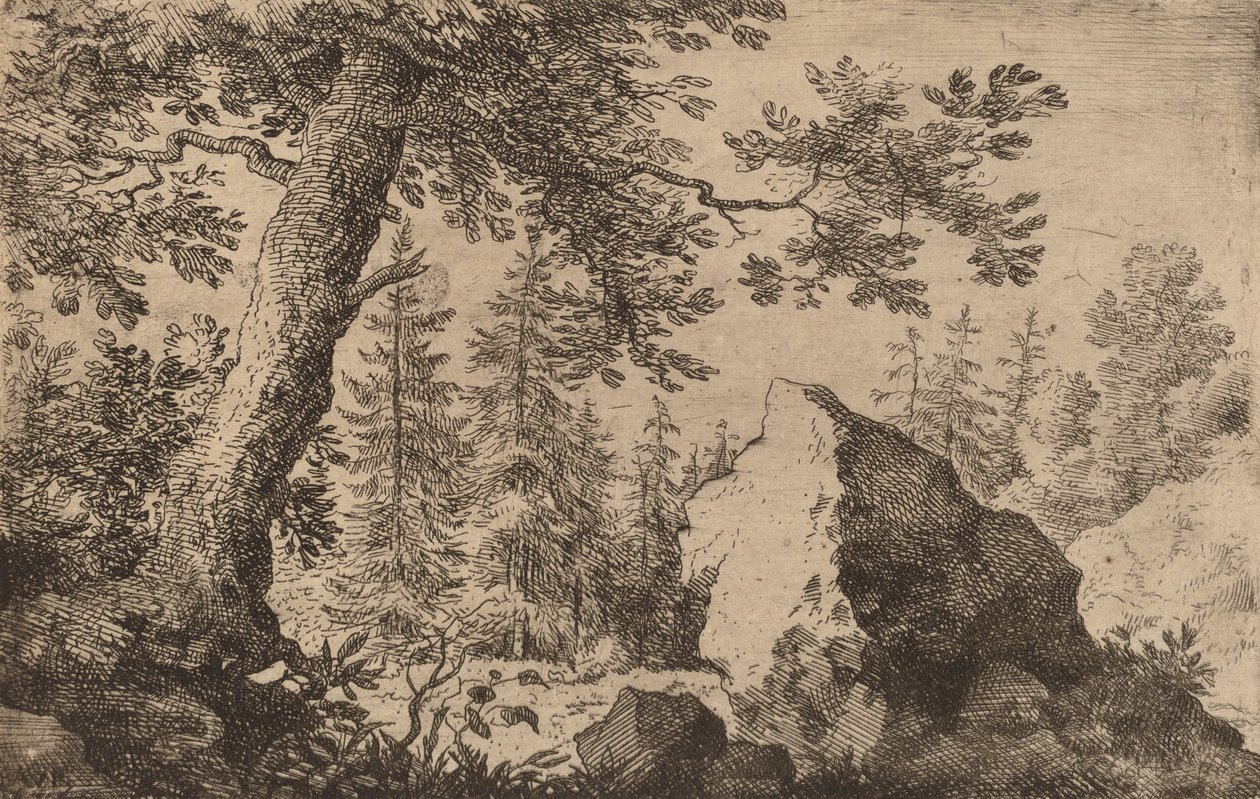 Masso nel bosco, probabilmente c. 1645-1656 da Allart van Everdingen