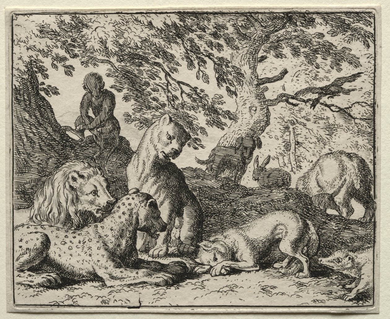 Reynard la volpe: Reynard descrive un falso complotto contro il leone da Allart van Everdingen