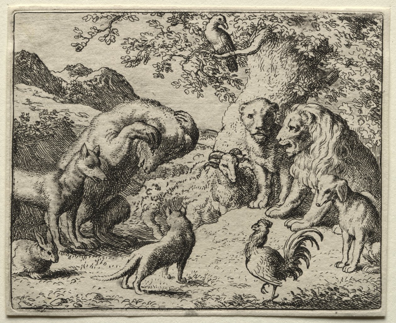 Reynard la volpe: La lamentela dell