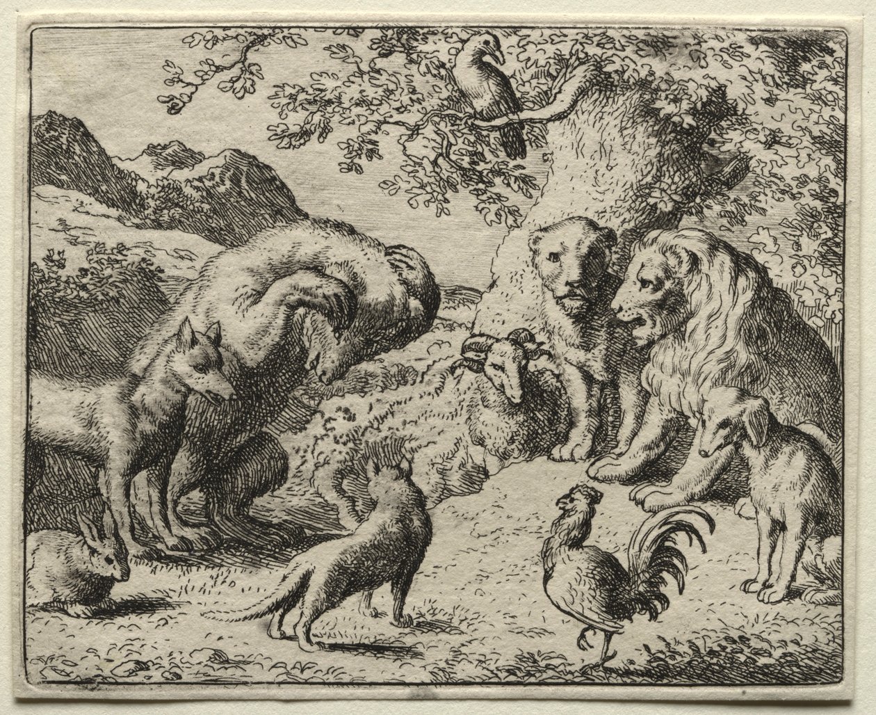 Reynard la Volpe: Il lamento dell