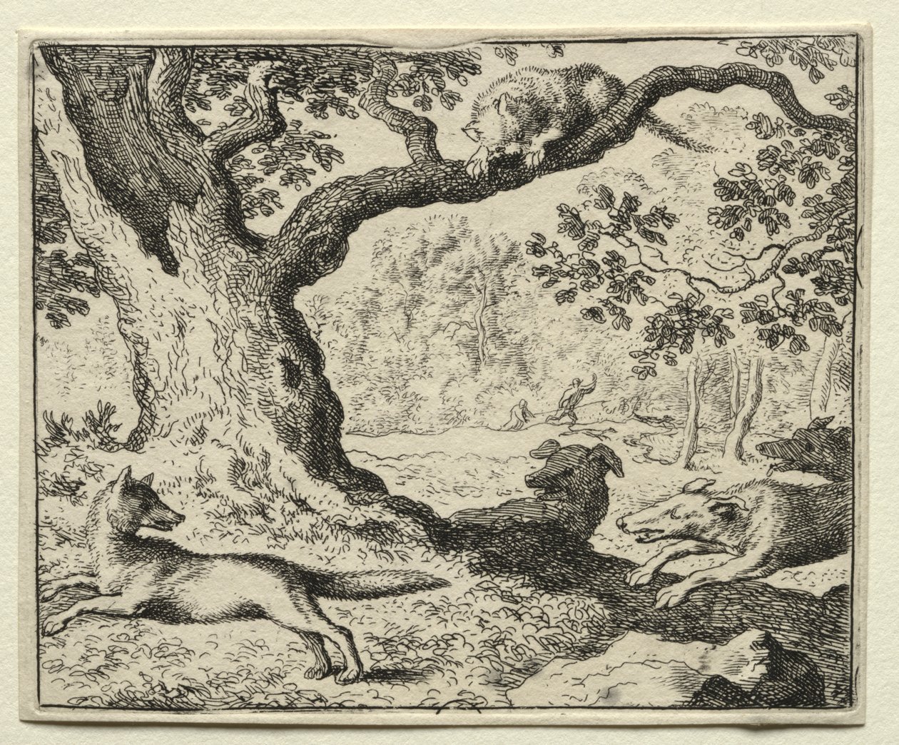 Reynard la Volpe: Il gatto sleale da Allart van Everdingen