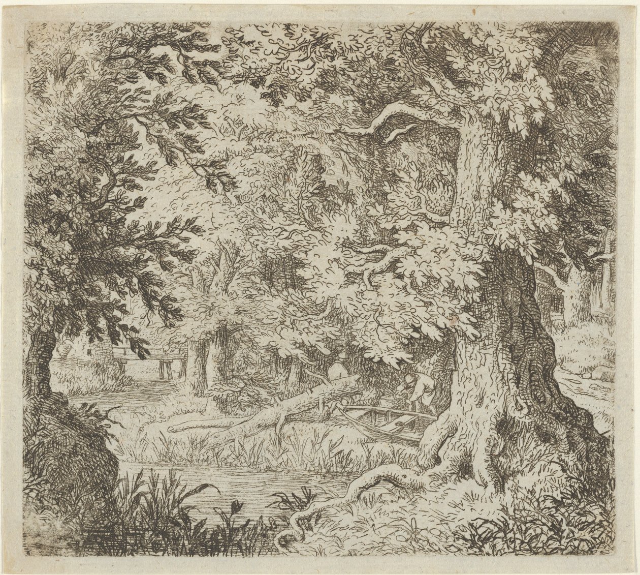 Il Ruscello nel Bosco, XVII secolo da Allart van Everdingen