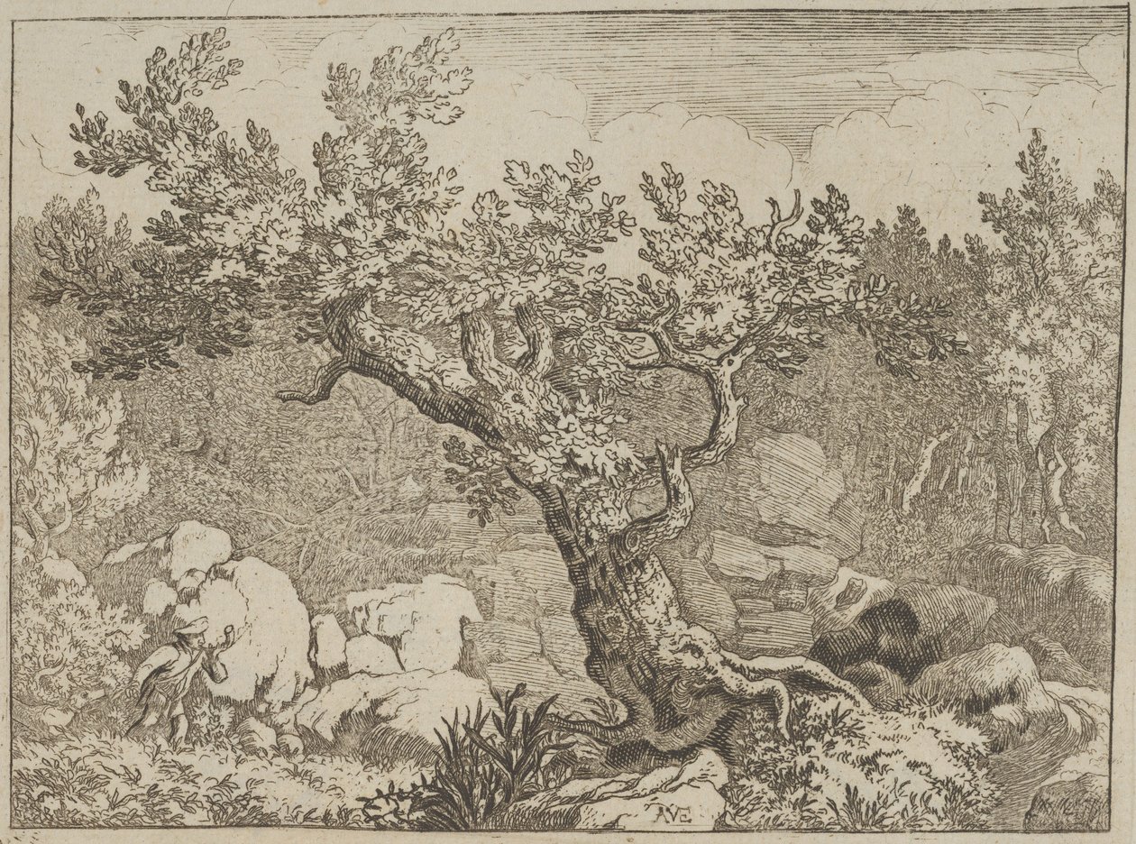 Il cacciatore vicino al grande albero da Allart van Everdingen