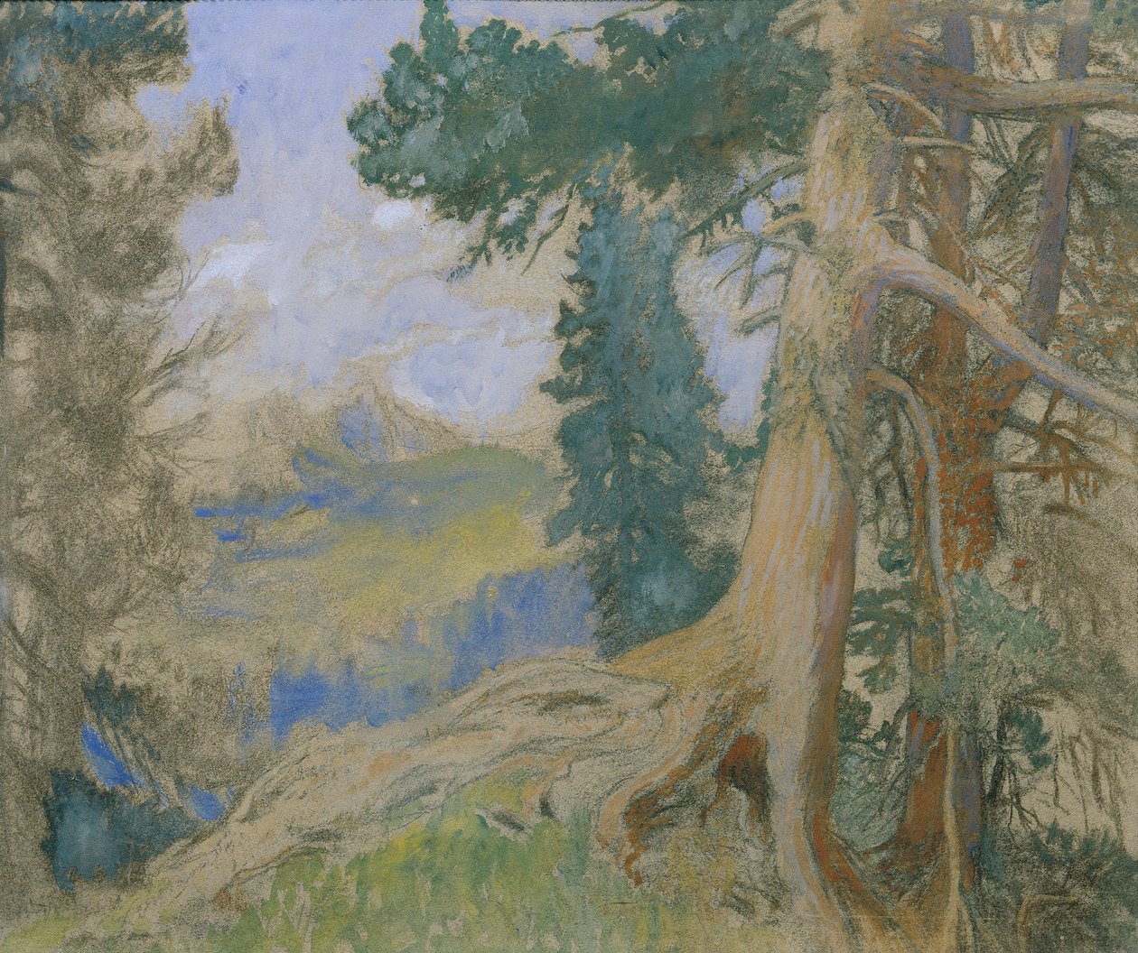 Scheiblahn alla sera da Alois Penz