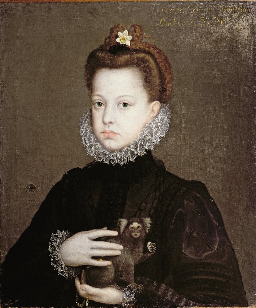 Infanta Isabella Clara Eugenia, figlia di Filippo II di Spagna da Alonso Sánchez Coello