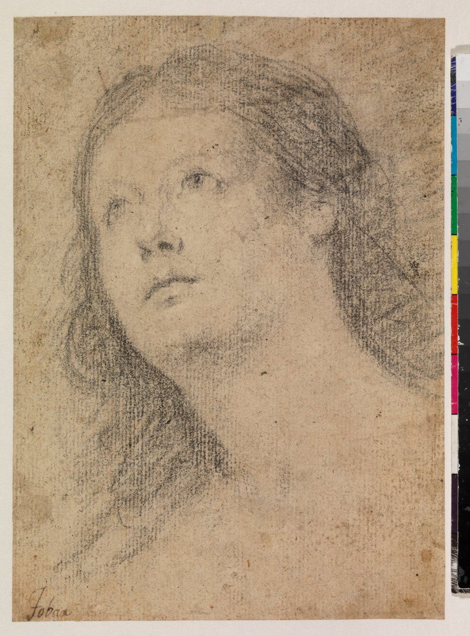 Testa di una donna che guarda in alto (recto) da Alonso Miguel de Tovar