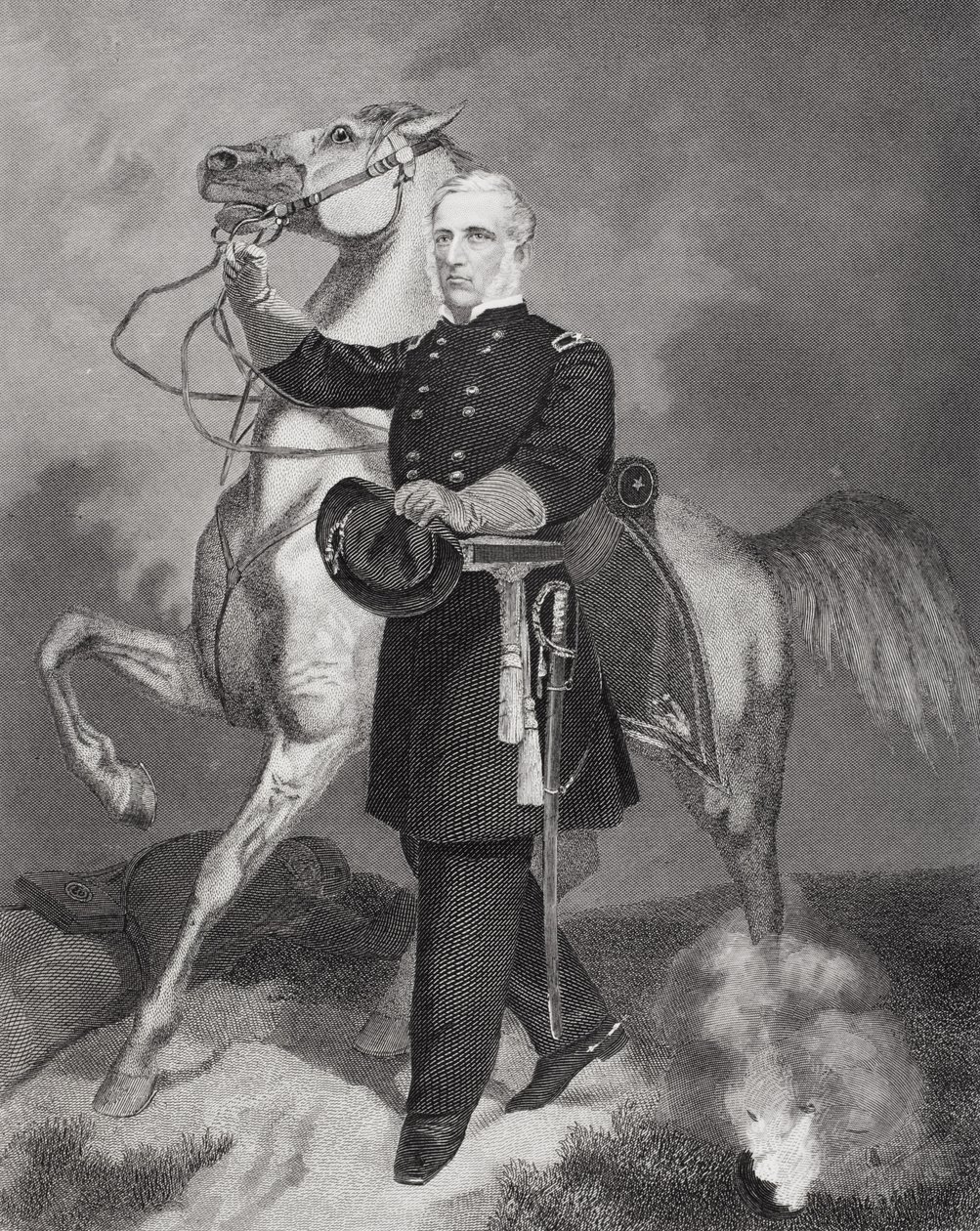 Ritratto del generale James Samuel Wadsworth (1807-64) da Alonzo Chappel