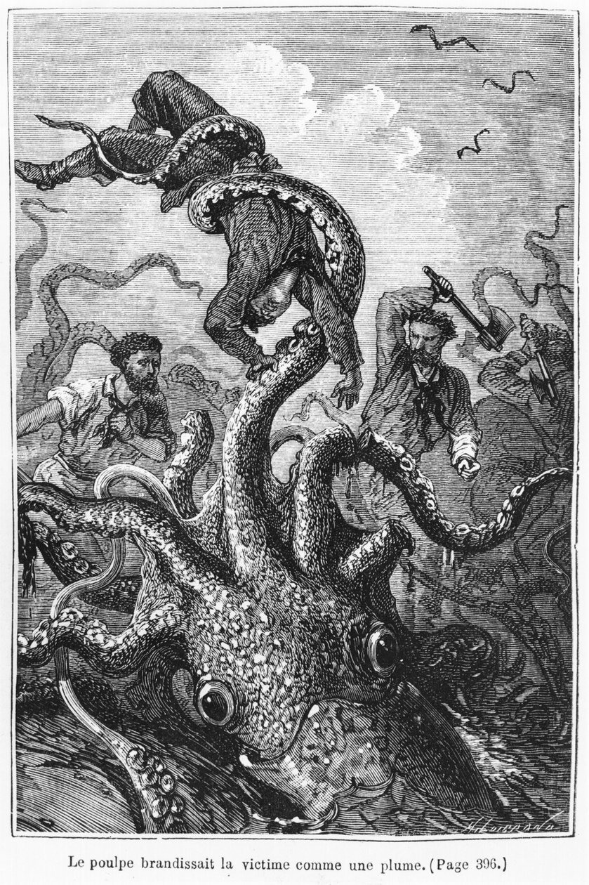 Il polpo che attacca il Nautilus, illustrazione da 