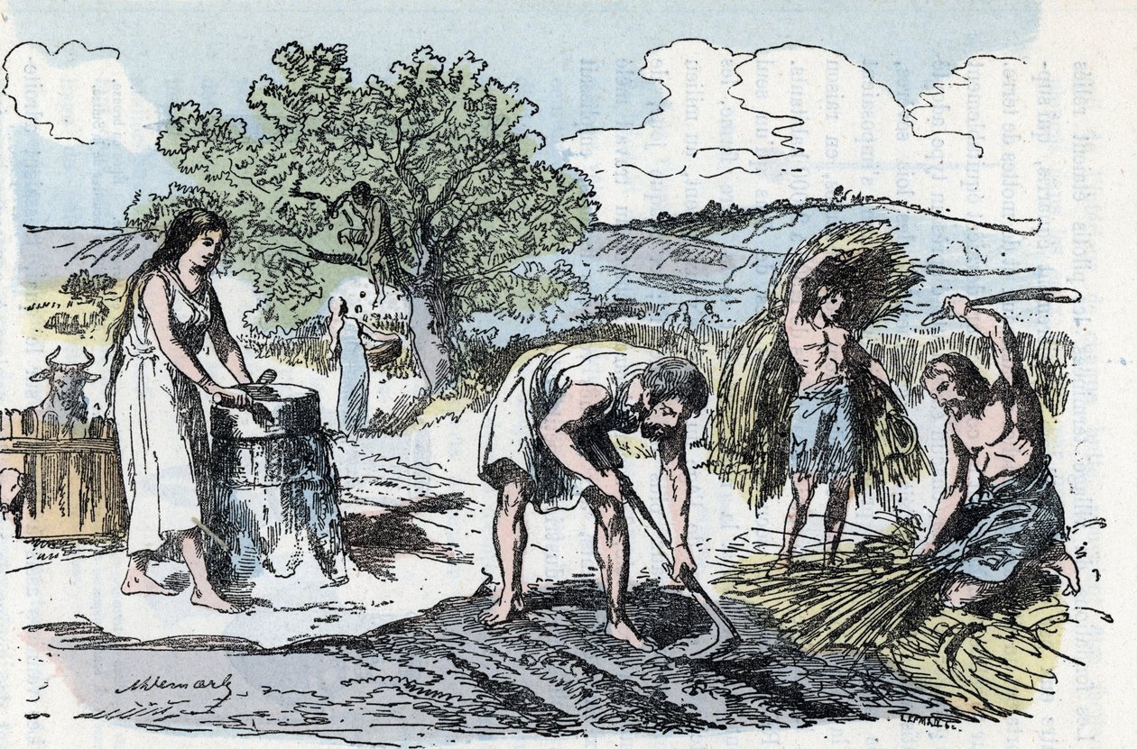 Vita quotidiana nella preistoria: scena di lavoro agricolo nell