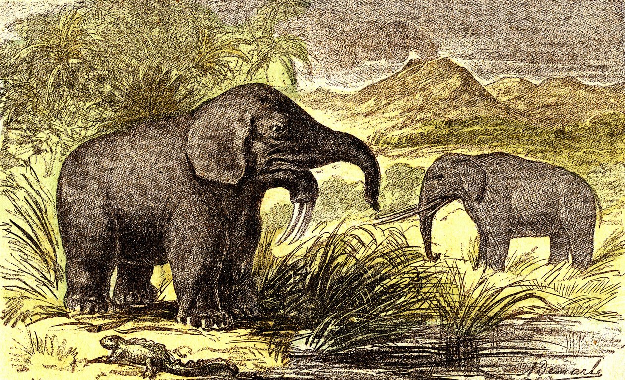 Preistoria-Periodo Miocene: Da destra a sinistra: il Dinoterio e il Mastodonte. Creazione Naturale e esseri viventi. Disegno di A. Demarle. 1885 da Alphonse Demarle