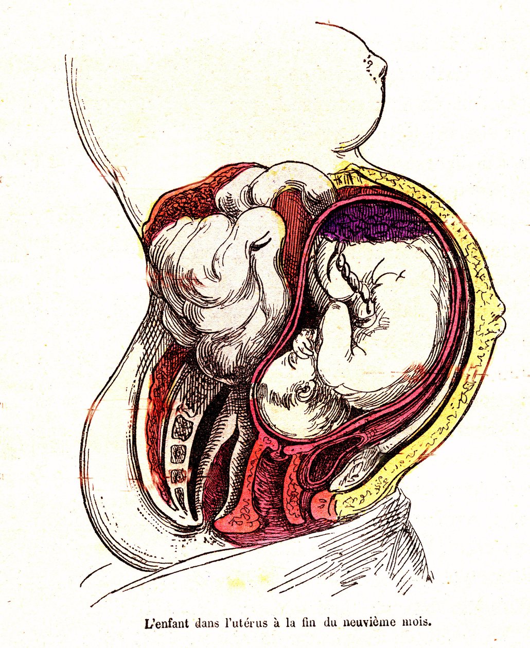 Il bambino nell