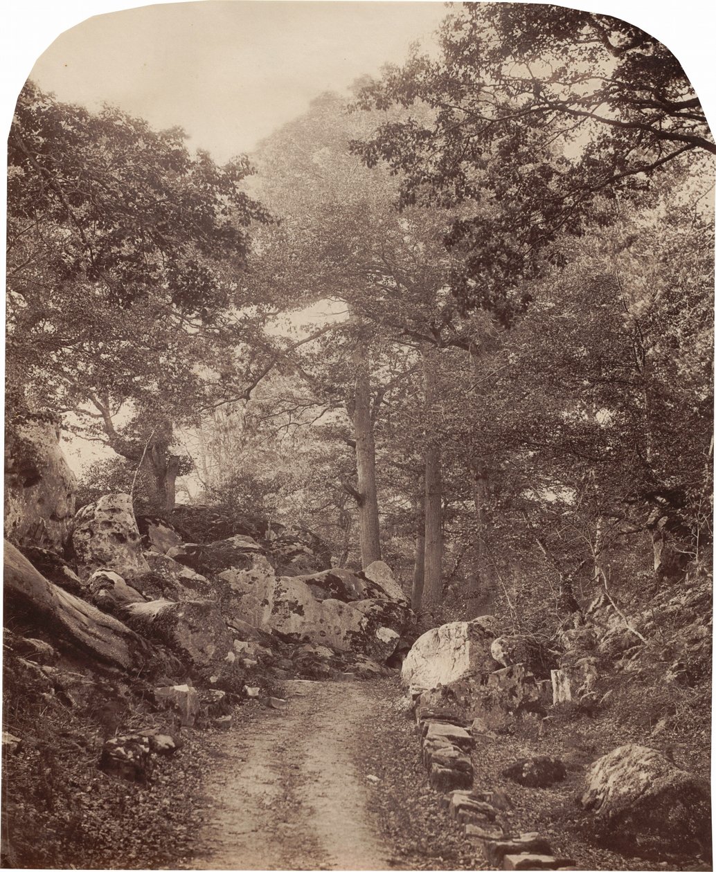 Fontainebleau, 1860 circa (foto) da Alphonse Francois Jeanrenaud