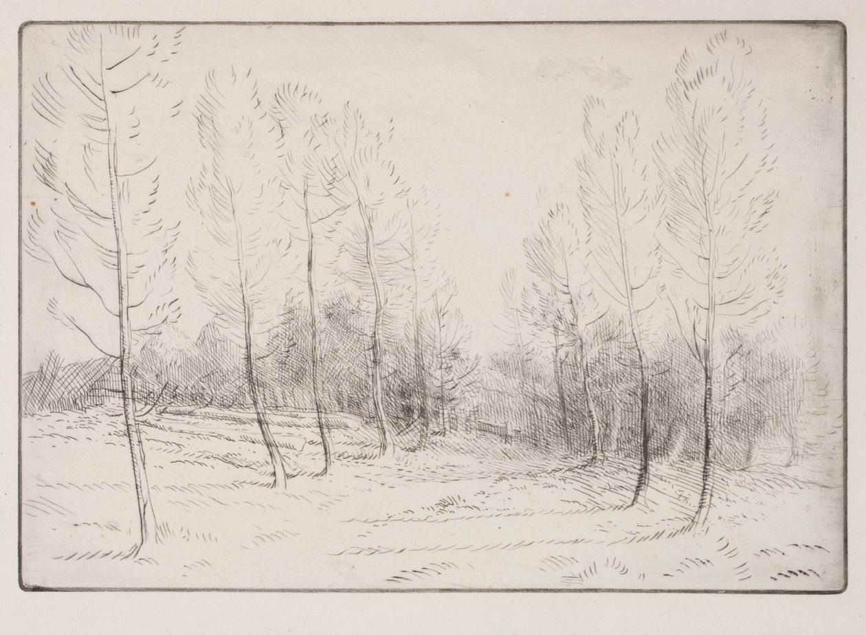 Viale di pioppi da Alphonse Legros