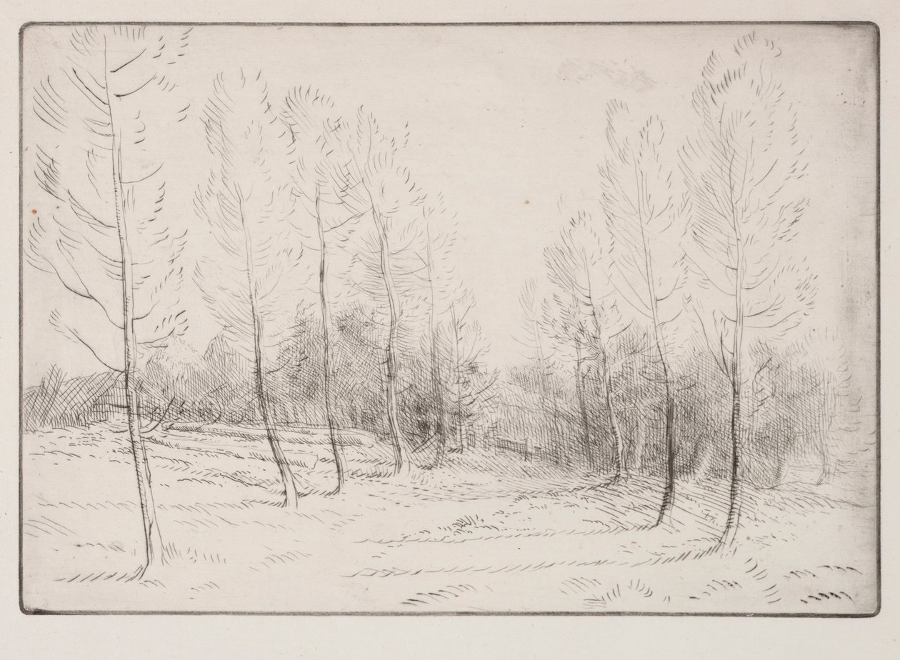 Viale di pioppi da Alphonse Legros