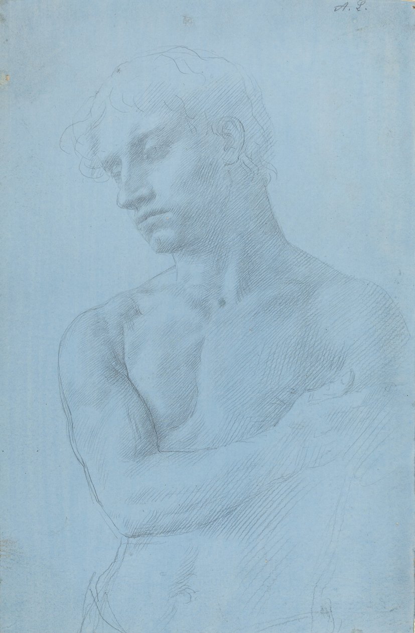 Busto di uomo nudo da Alphonse Legros