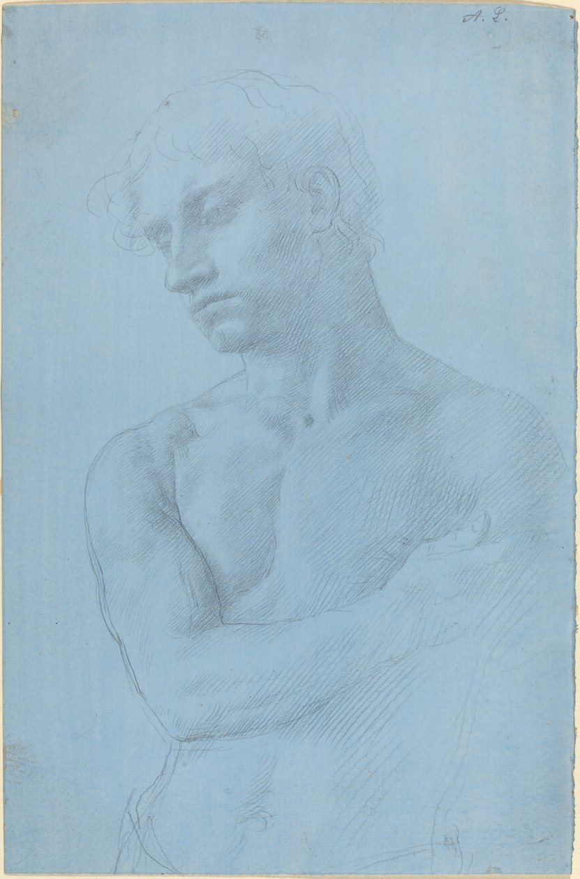 Busto di uomo nudo da Alphonse Legros