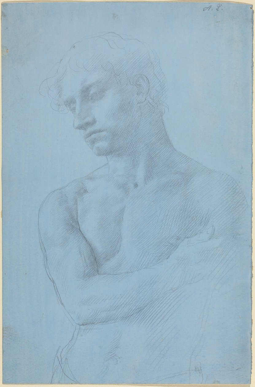 Busto di uomo nudo da Alphonse Legros