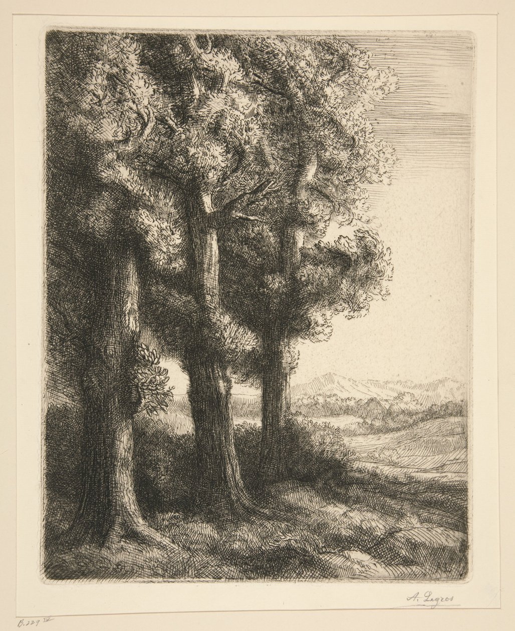 Un angolo di bosco da Alphonse Legros