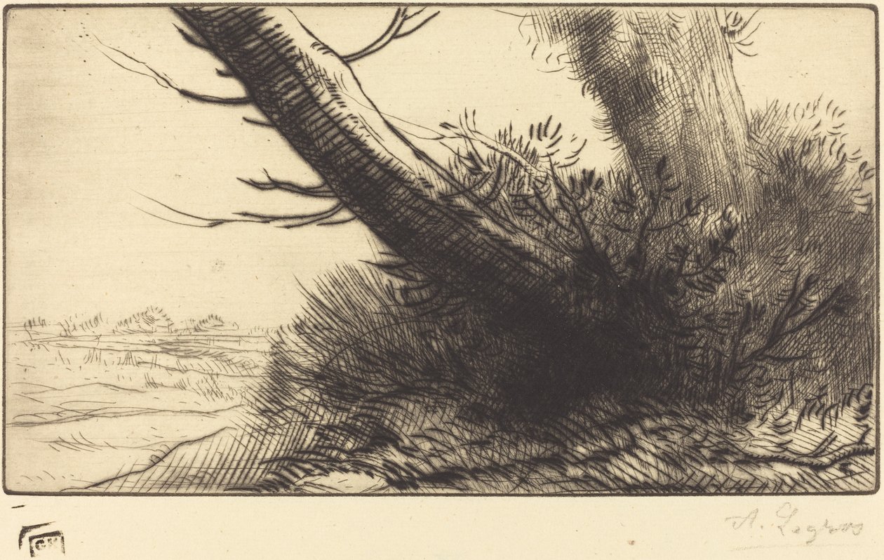 Angolo di un sentiero da Alphonse Legros