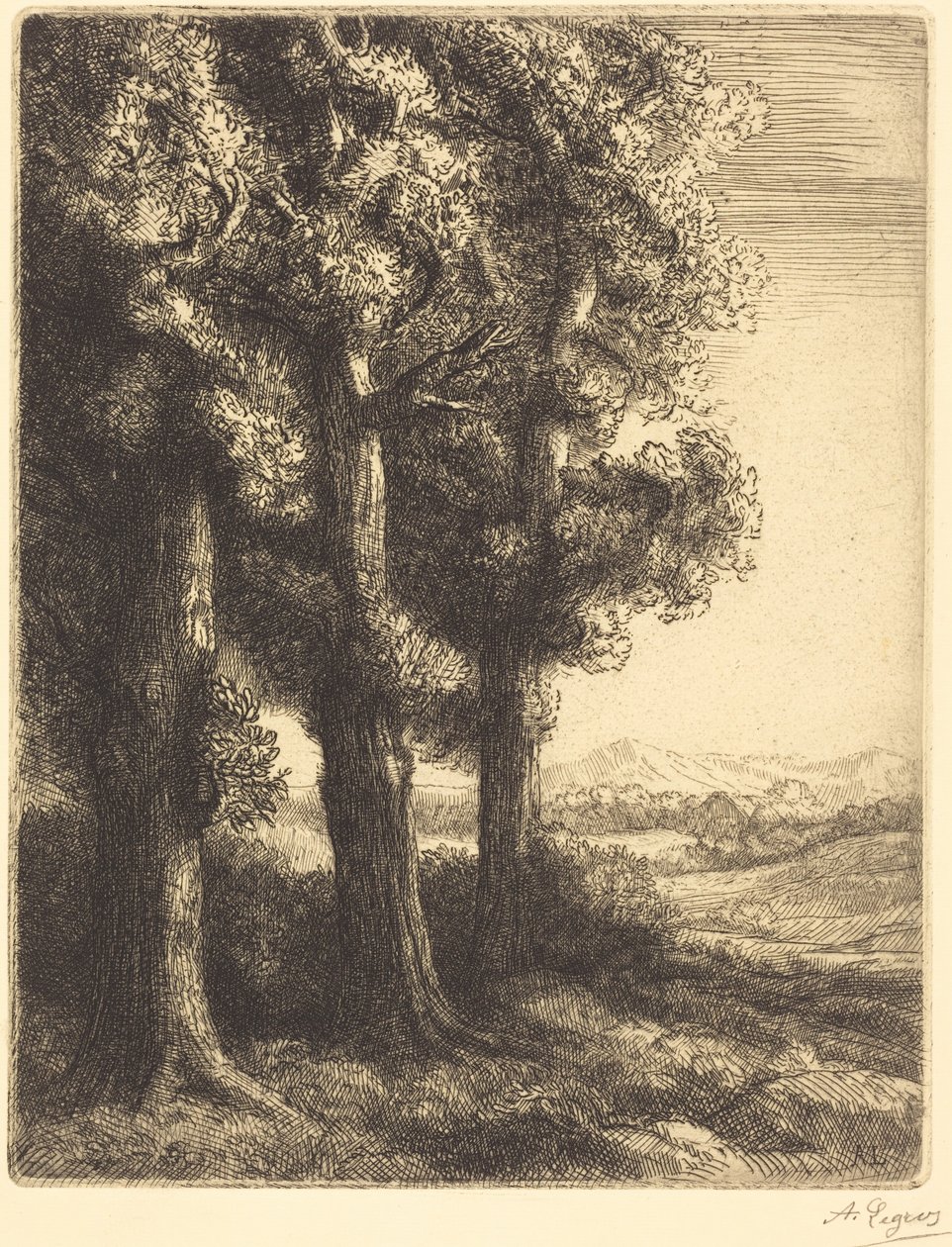 Corner of a Wood (Angolo di un bosco) da Alphonse Legros