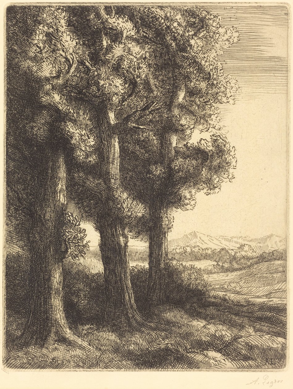 Corner of a Wood (Angolo di un bosco) da Alphonse Legros