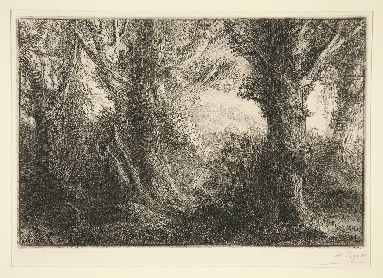 Nella foresta di Conteville da Alphonse Legros