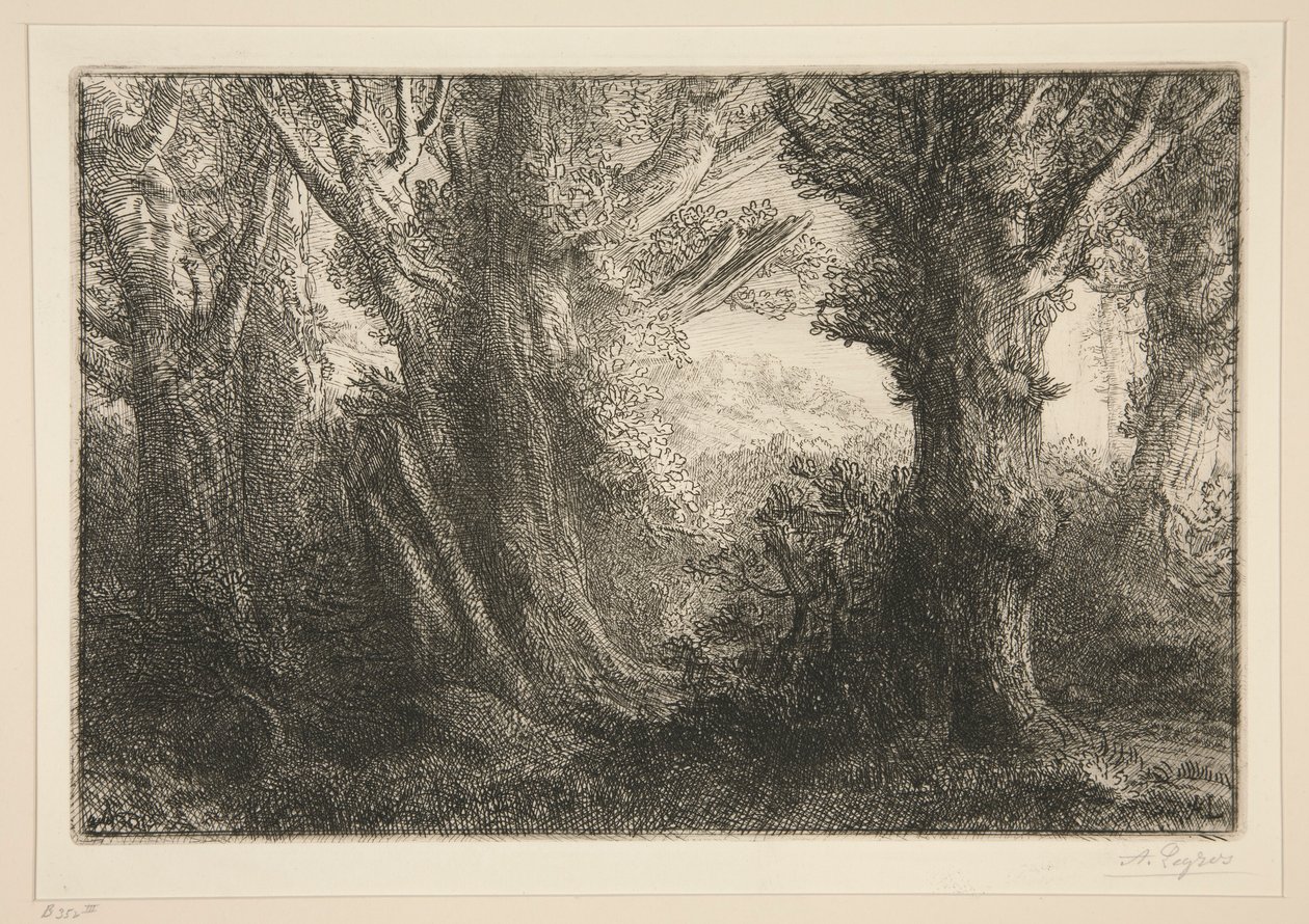 Nella foresta di Conteville da Alphonse Legros
