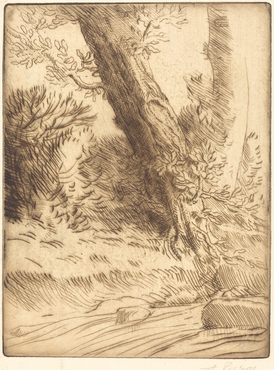 Bordo di un Ruscello da Alphonse Legros