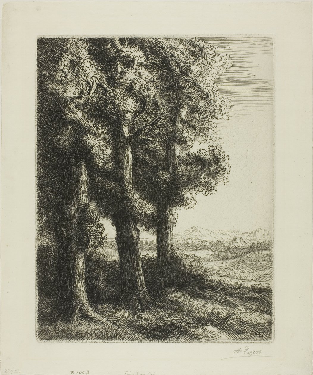 Bordo di un bosco da Alphonse Legros