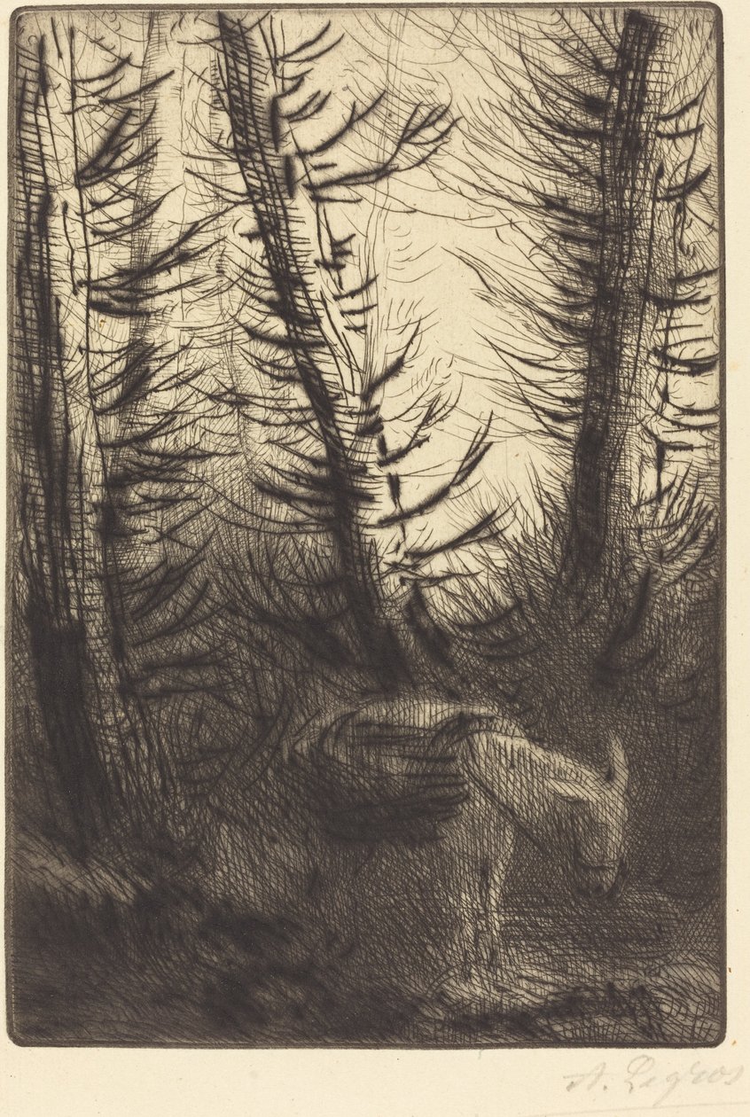 Contadino e il Suo Asino da Alphonse Legros