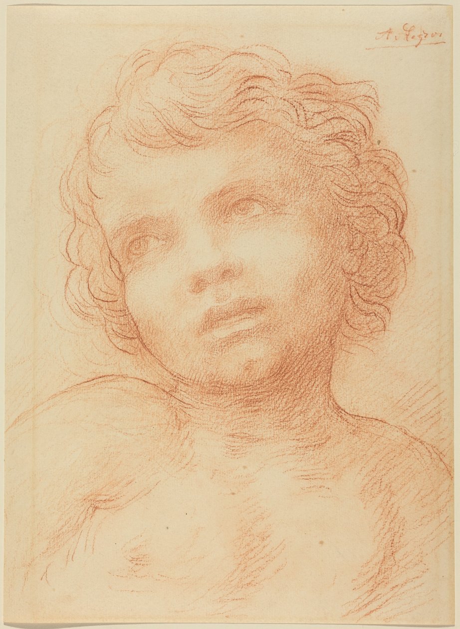Testa di bambino da Alphonse Legros