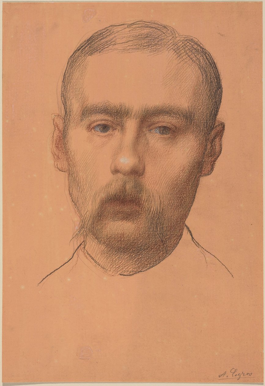 Testa di uomo  (Possibile ritratto del professor E.D. Adams) da Alphonse Legros