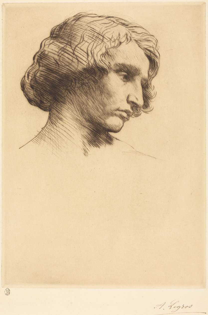 Head of a Man (Testa d