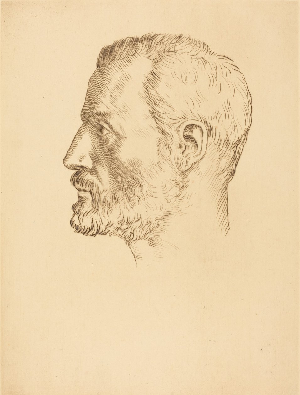 Head of a Man (Testa d