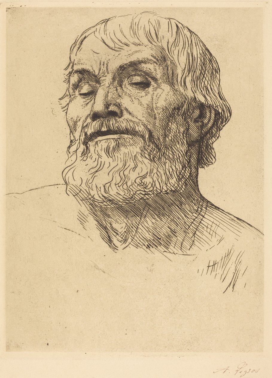 Testa di uomo (Tête d