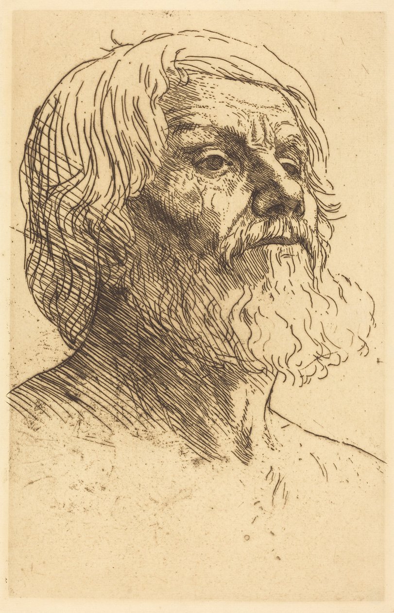 Testa di uomo da Alphonse Legros