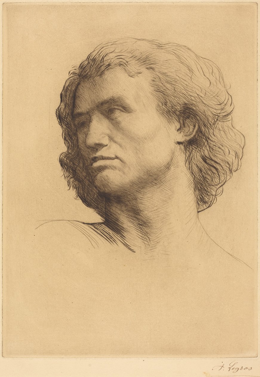 Testa di uomo da Alphonse Legros