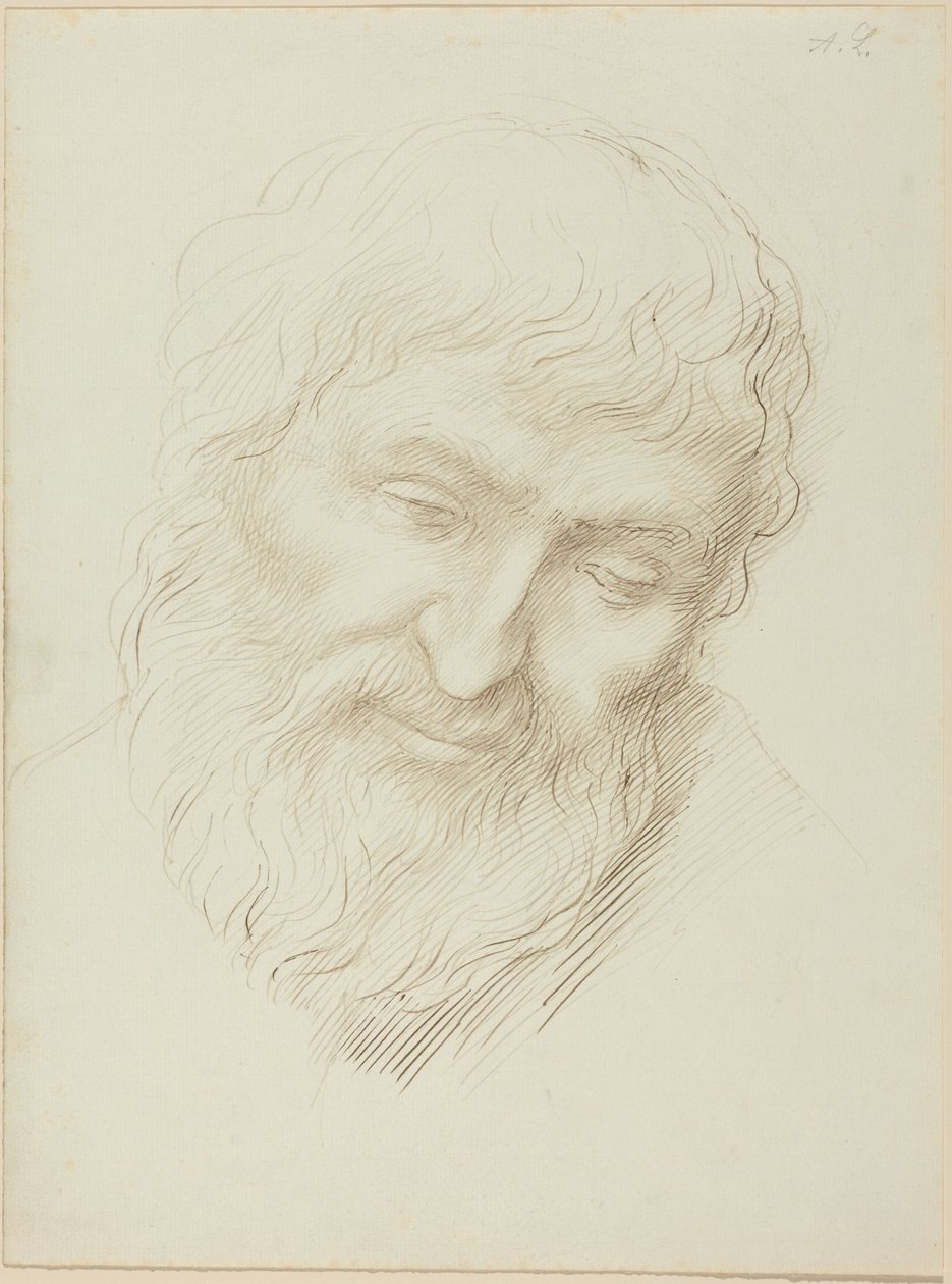 Testa di uomo da Alphonse Legros