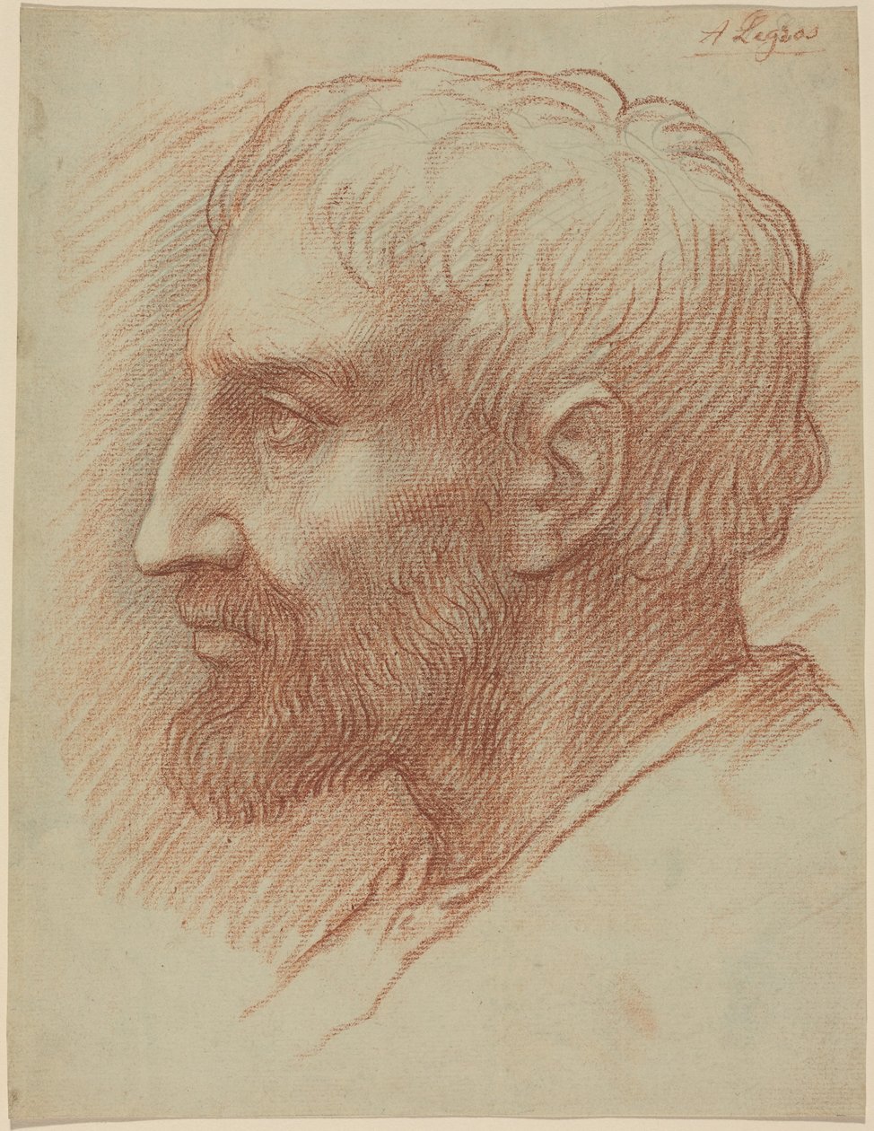 Testa di uomo da Alphonse Legros